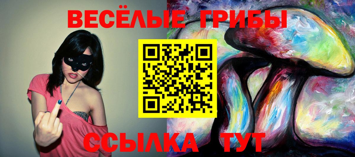Псилоцибиновые грибы Magic Shrooms Кондопога